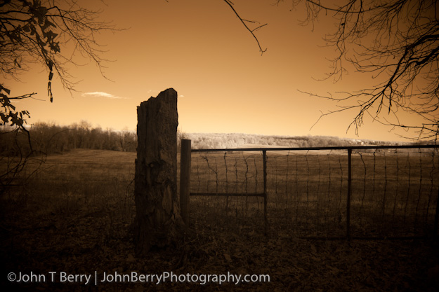 January/13/12: Landscape. Digital Infrared. IR