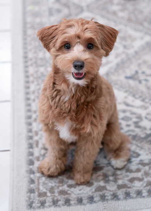 2025 Carlyle and Cathy